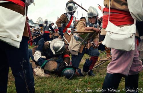 grolle_0018
