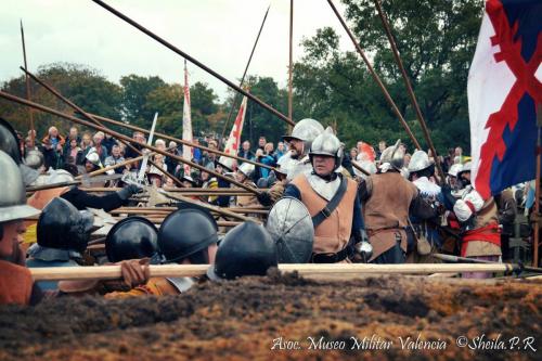 grolle_0024