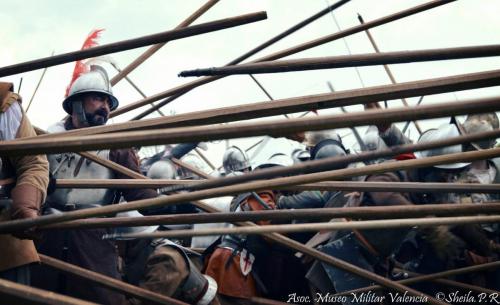 grolle_0028
