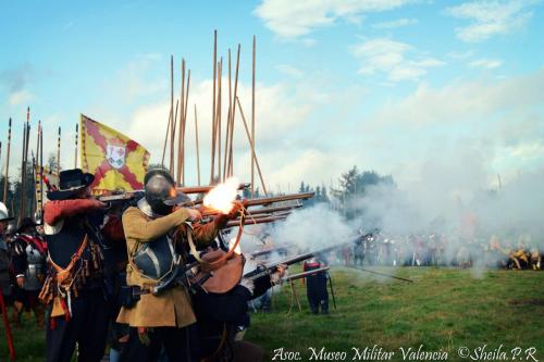 grolle_0029