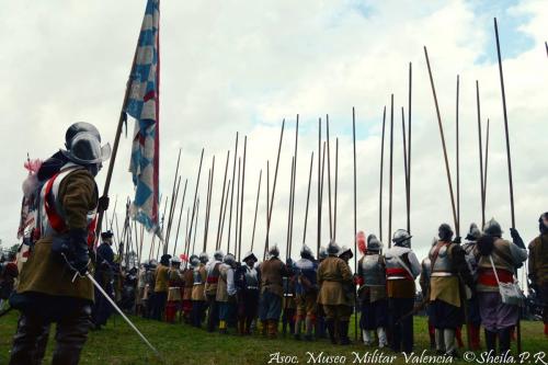 grolle_0038