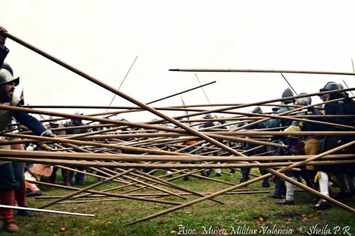 grolle_0044