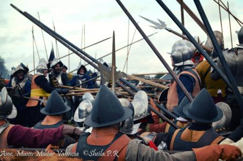 grolle_0045